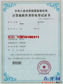 計算機軟件著作權登記代辦與企業(yè)管理咨詢 賦能企業(yè)創(chuàng)新發(fā)展的雙翼