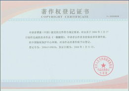 版權登記與執(zhí)照代辦等商業(yè)服務 企業(yè)管理咨詢的價值與選擇